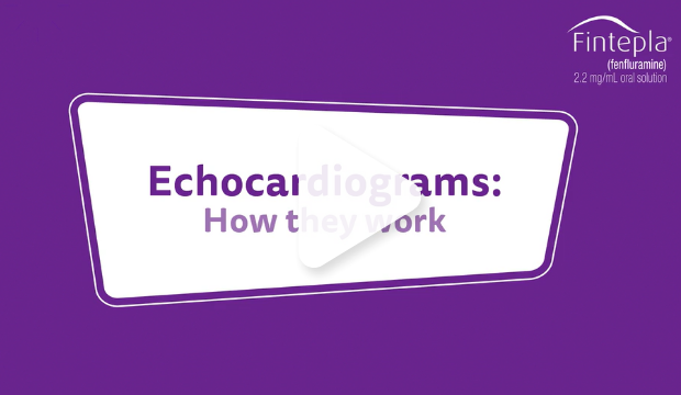 Learn about echocardiograms from Bethany and Kye.